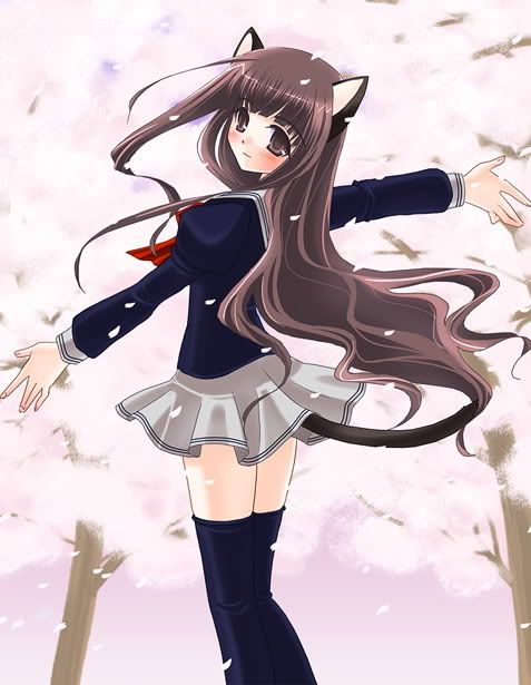 Obrázok “http://i266.photobucket.com/albums/ii242/L_Lover_2008/Anime%20Girls/Neko/234.jpg” sa nedá zobraziť, pretože obsahuje chyby.