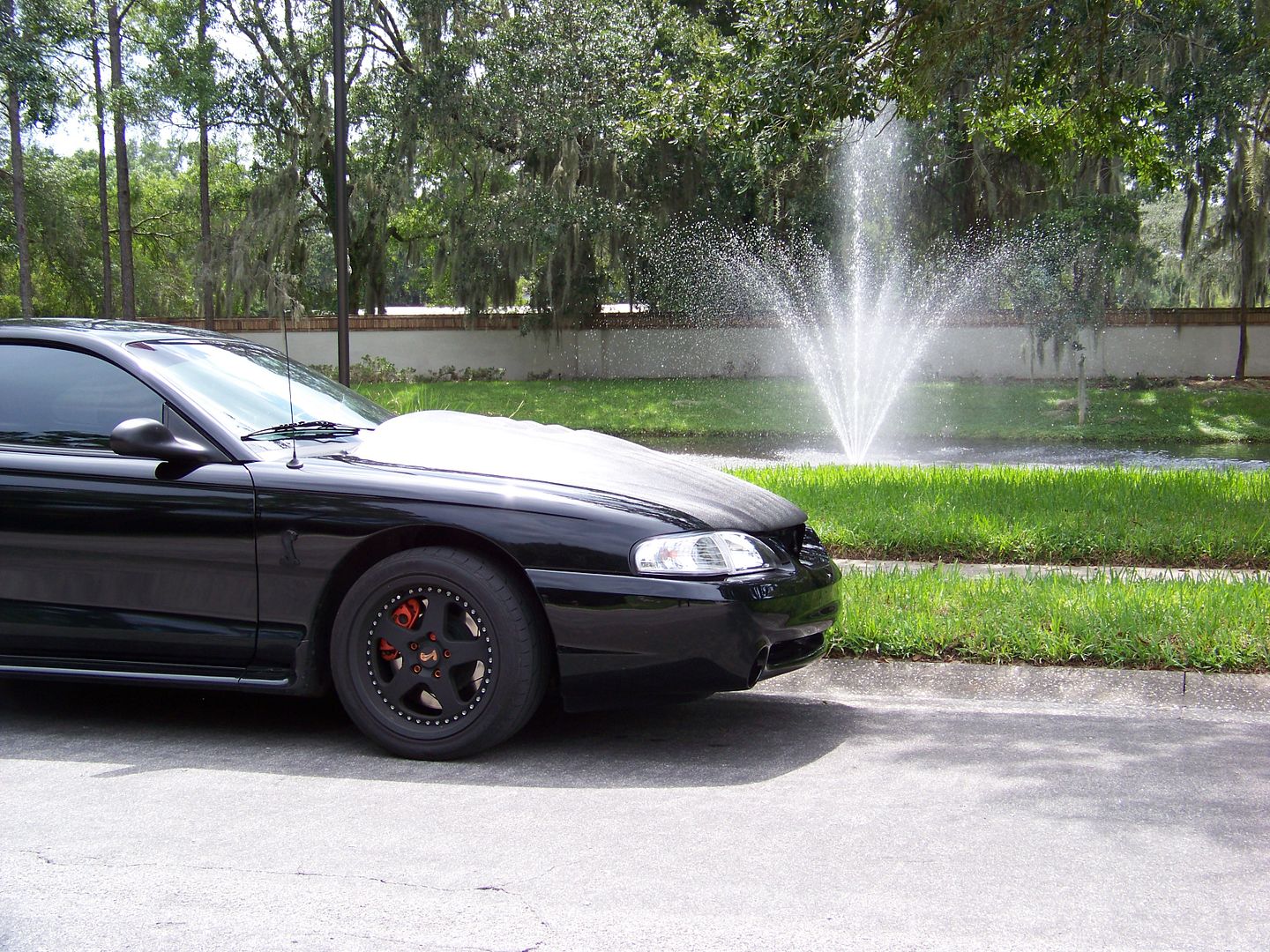 ***SN95 Ulitmate Hood Guide*** Page 6 SN95Forums The Only SN95 1994
