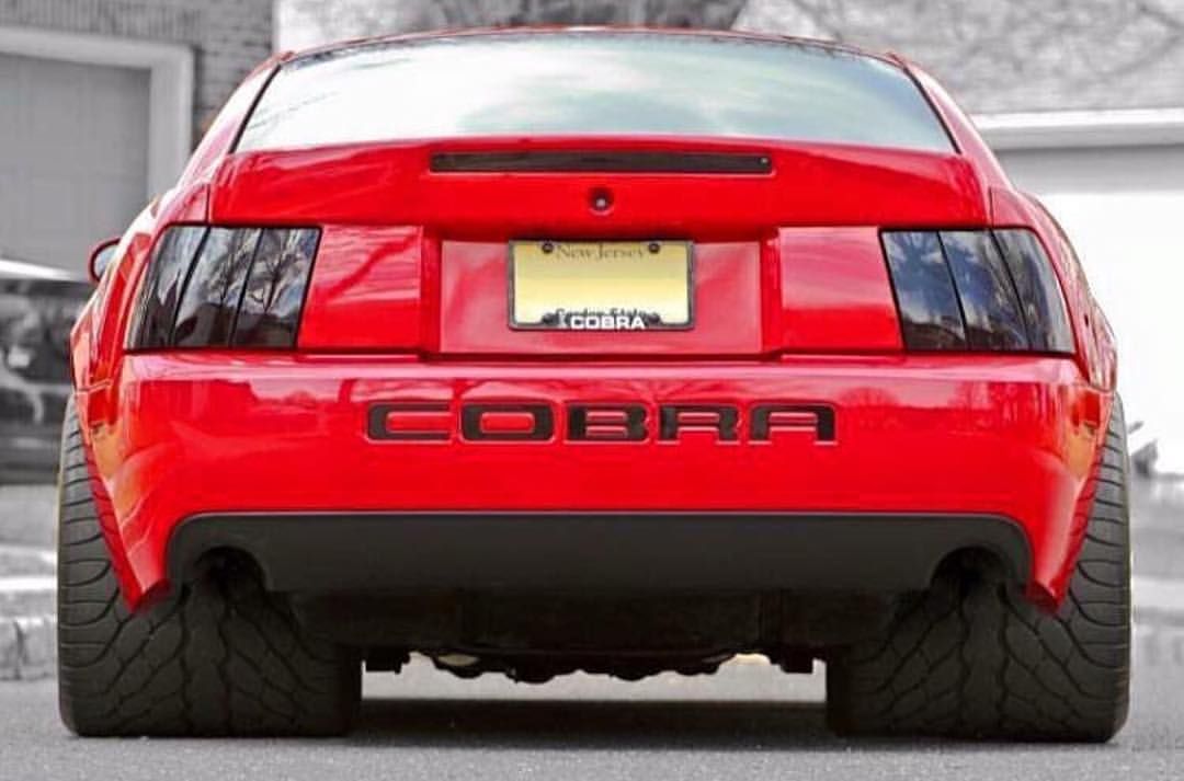 fat%20cobra_zps8zfl3xm3.jpg