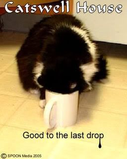 pet humor