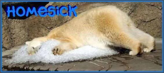homesick.jpg homesick image by JustTooFresh
