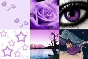 purple Pictures, Images and Photos