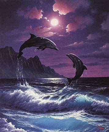 dolphins.jpg