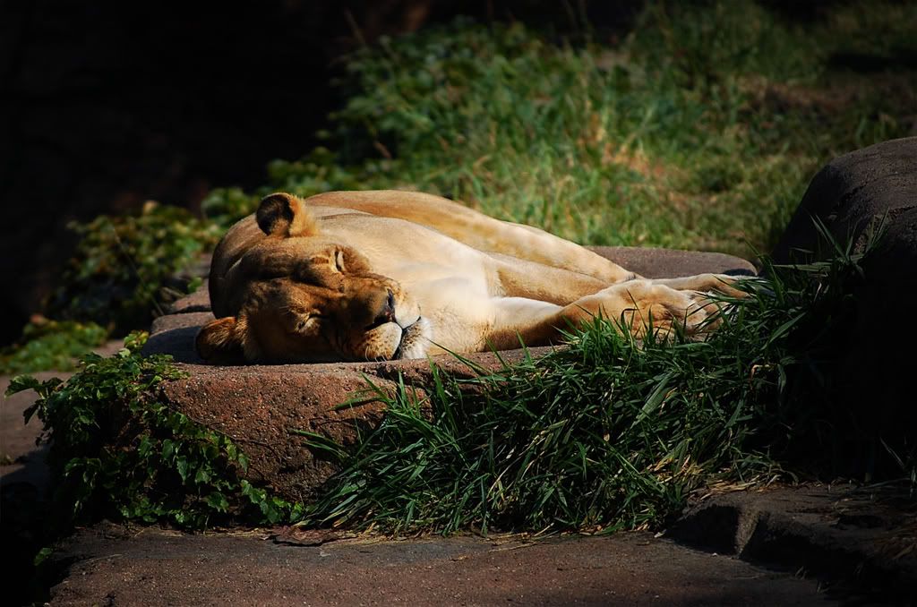 IMAGE: http://i266.photobucket.com/albums/ii244/Devilslilvamp/ba255.jpg