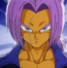 Trunks2