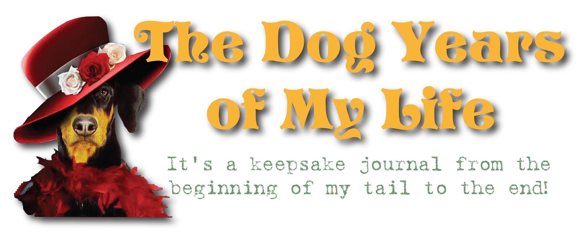 The Dog Years Of My Life