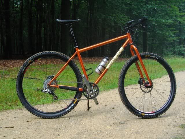 singular swift 29er