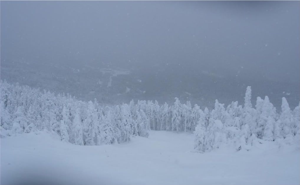 DSCN3560.jpg