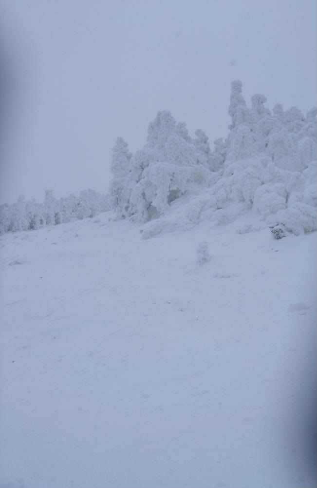 DSCN3561.jpg