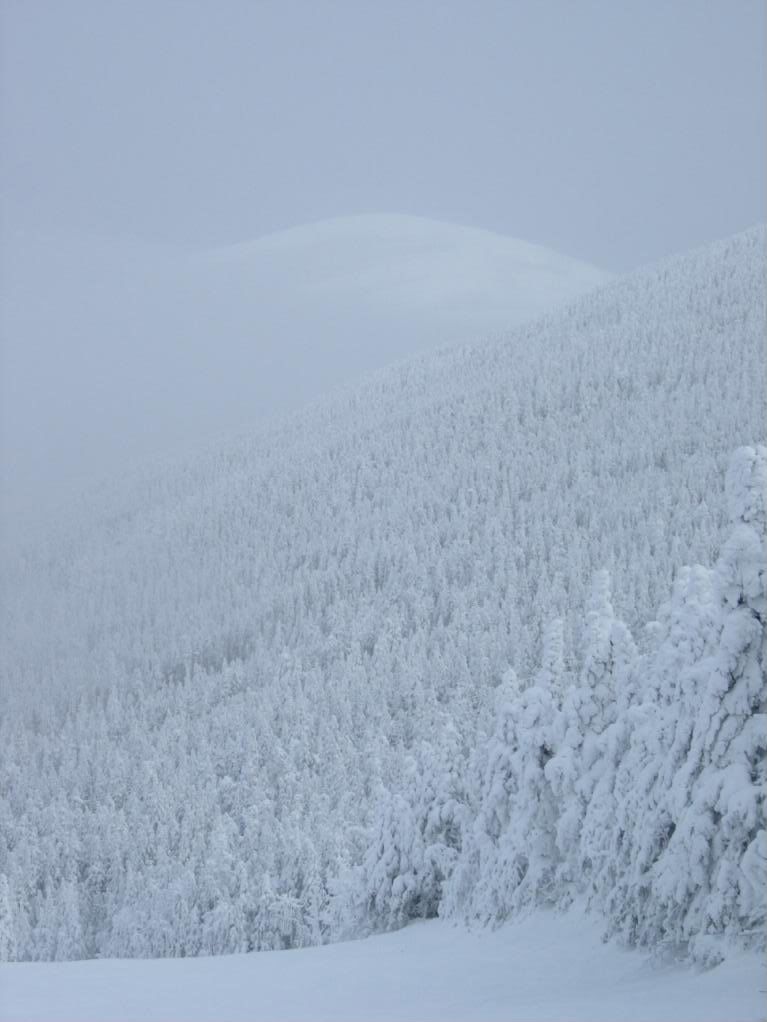 DSCN3562.jpg