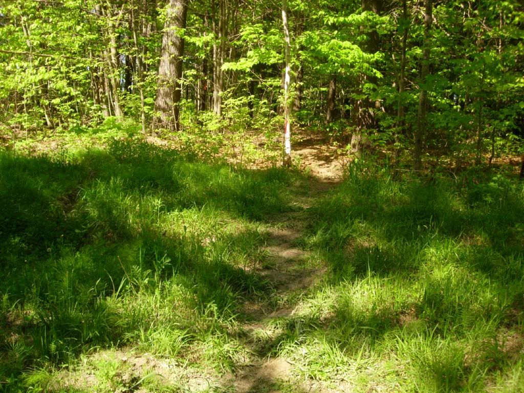 DSCN3732.jpg
