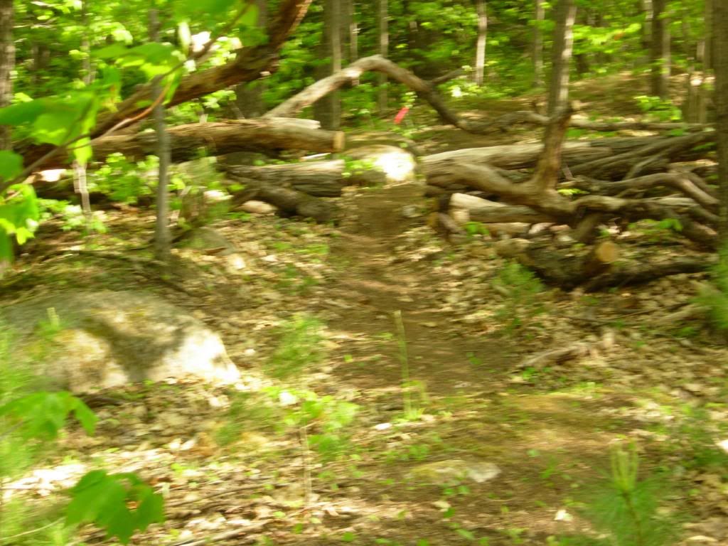 DSCN3743.jpg