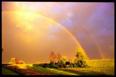 STRANGE RAINBOW Pictures, Images and Photos