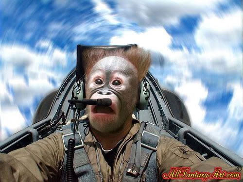 Monkey-Pilot.jpg