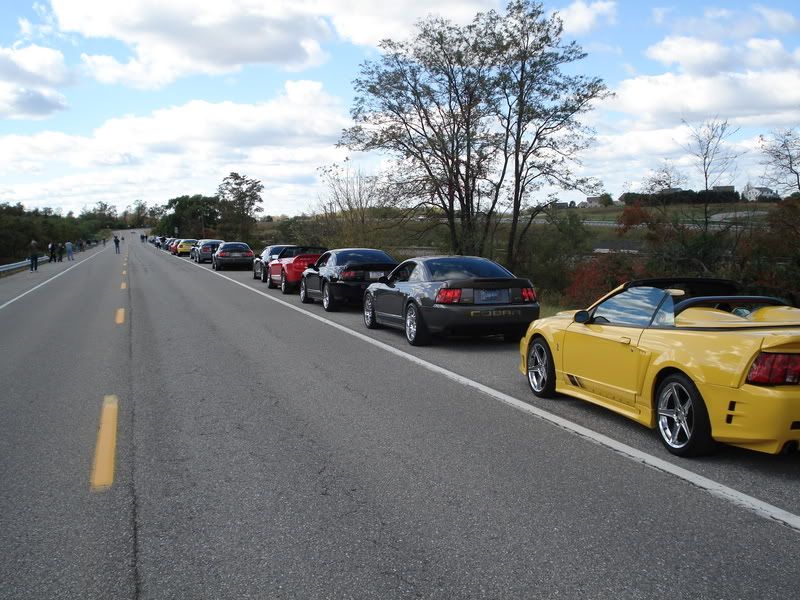 [Image: DSC00229.jpg]