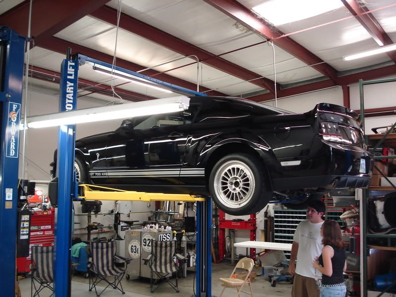 [Image: DSC00827.jpg]