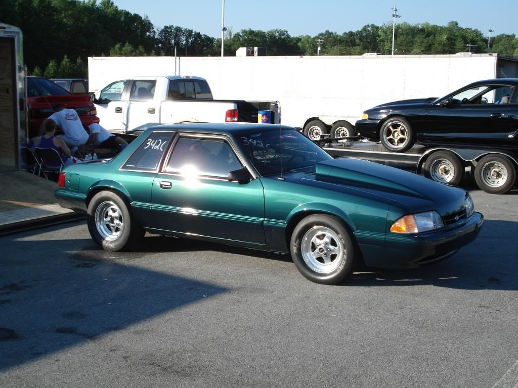 [Image: Pinks002.jpg]