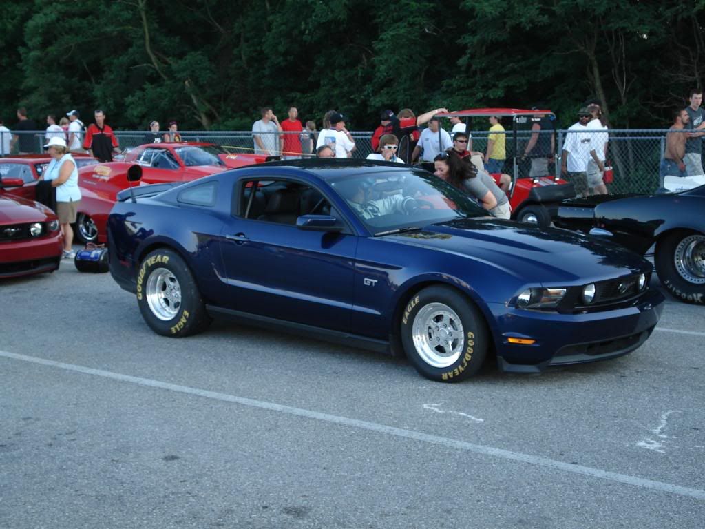 [Image: Pinks009.jpg]