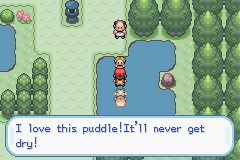 puddle.png