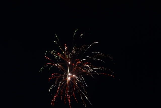 DSC_2828.jpg