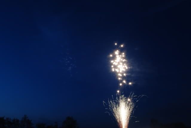 DSC_2831.jpg