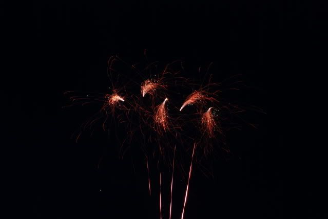 DSC_2860.jpg