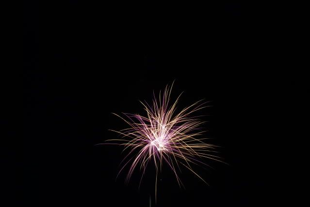DSC_2872.jpg