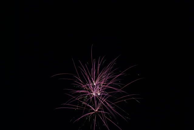 DSC_2873.jpg