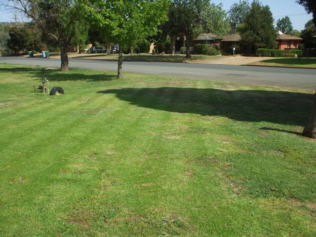 [Linked Image from i266.photobucket.com]
