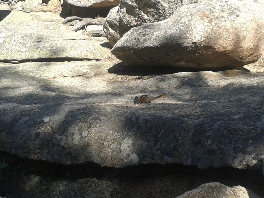 20150723_174916_zpsao5qmxpj.jpg
