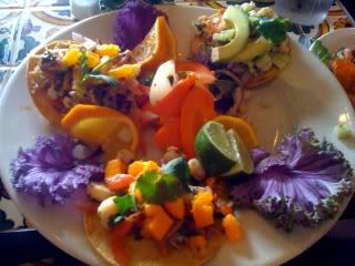 Taco Rosa Ceviche Trio