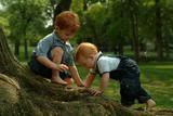 Boys Climbing Tree Pictures, Images and Photos