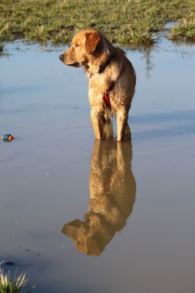 IMAGE: http://i266.photobucket.com/albums/ii250/sprkplg08/IMG_3673a.jpg