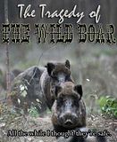 The Tragedy Of The Wild Boar
