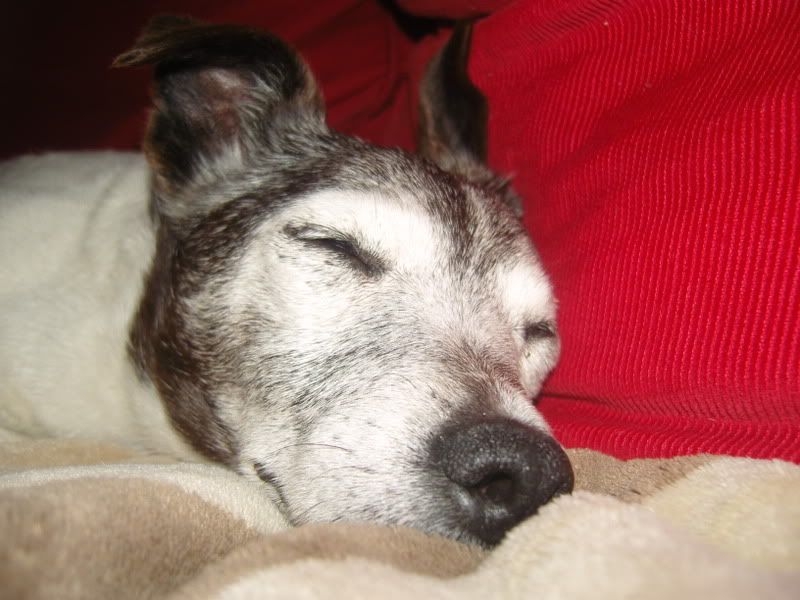 47d4285c.jpg