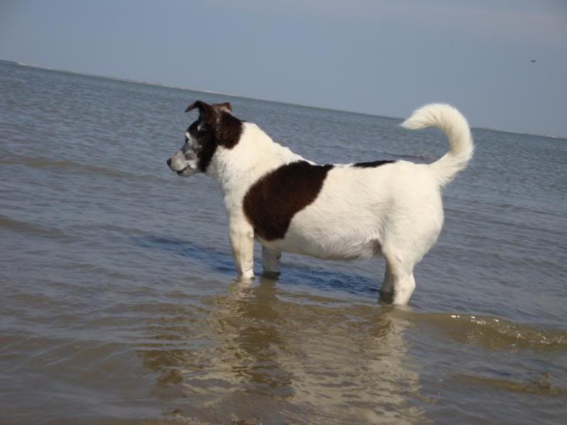 Hagermarsch2009062.jpg