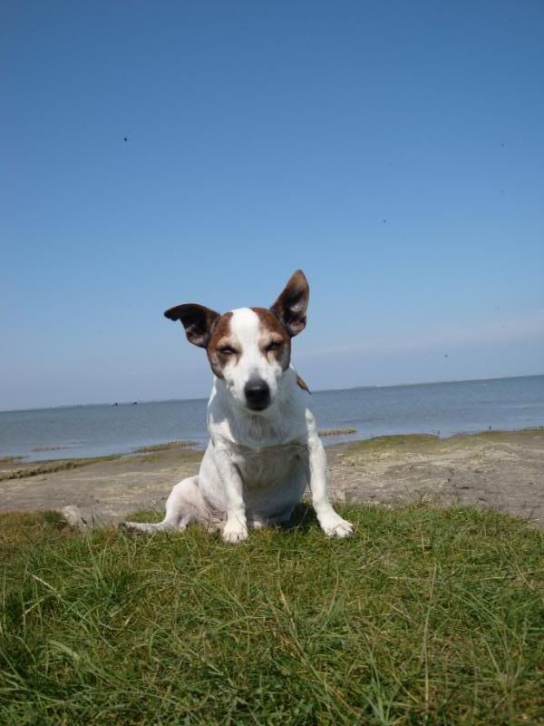 Hagermarsch2009074.jpg