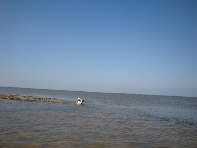 Hagermarsch2009085.jpg