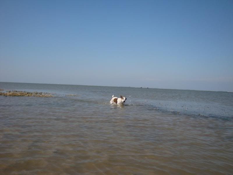 Hagermarsch2009086.jpg