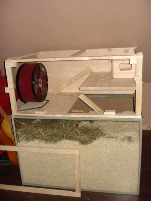 andreaundco040.jpg