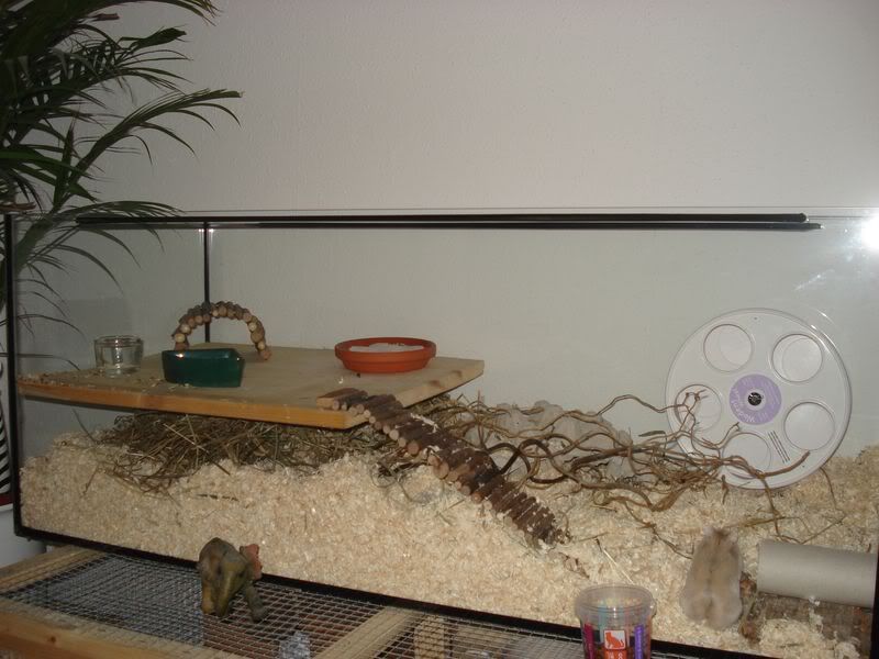 april08025.jpg