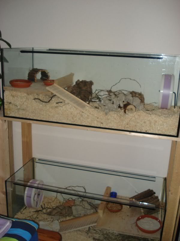 april08026.jpg