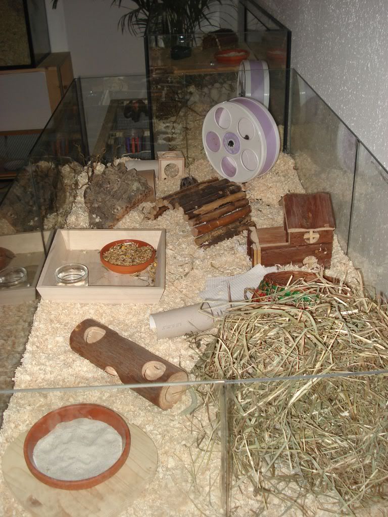 april08028.jpg