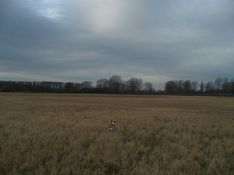 b3458081.jpg