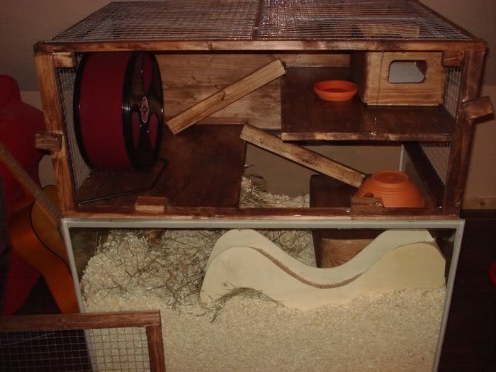 hamsterneu006.jpg