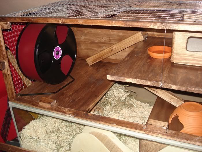 hamsterneu008.jpg