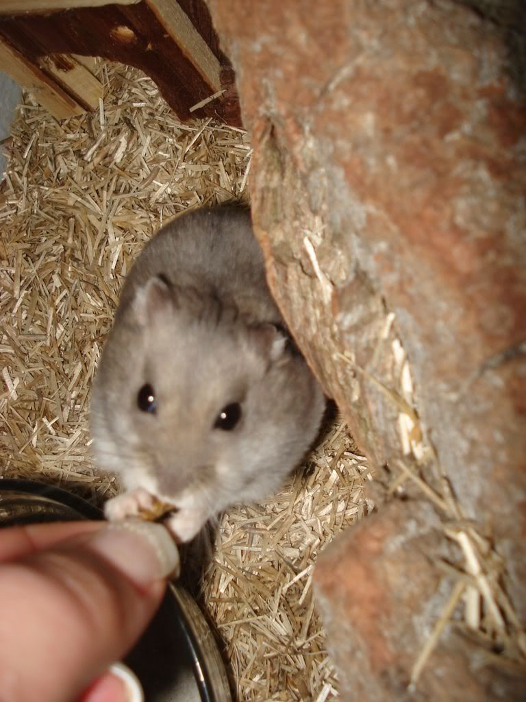 knutschi006.jpg