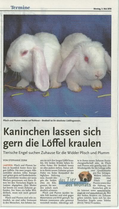 plischplummzeitung.jpg