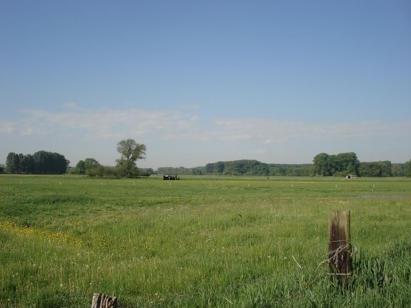 sommer088.jpg