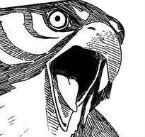 Forum Image: http://i266.photobucket.com/albums/ii252/oneshott14/Eagle.jpg